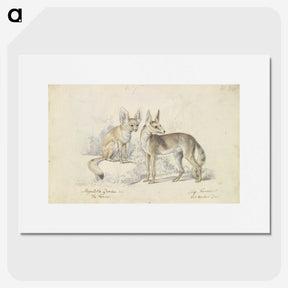 1-32_Charles-Hamilton-Smith_picture
