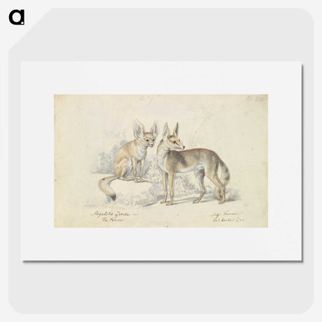 1-32_Charles-Hamilton-Smith_picture