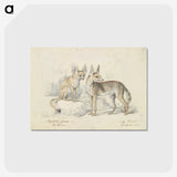 1-32_Charles-Hamilton-Smith_postcard
