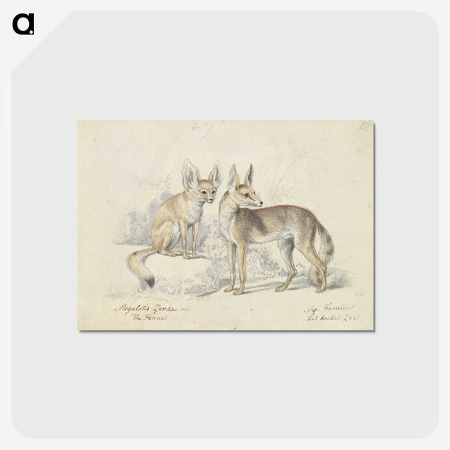 1-32_Charles-Hamilton-Smith_postcard