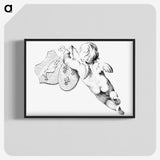 1-32_Cornelis-Ploos-van-Amstel_blk-crop