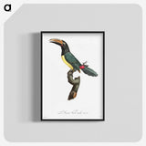 1-32_Des-Oiseaux-de-Paradis_blk-crop