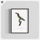 1-32_Des-Oiseaux-de-Paradis_blk