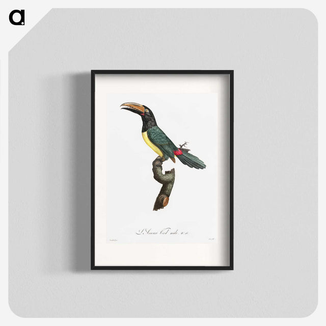 1-32_Des-Oiseaux-de-Paradis_blk