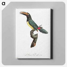 1-32_Des-Oiseaux-de-Paradis_canvas