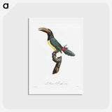 1-32_Des-Oiseaux-de-Paradis_hagaki