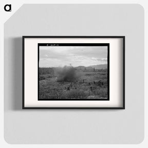 アートポスター-Tomarack stump is blasted. Bonner County, Idaho - ドロテア ラング Poster.