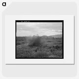 1-32_Dorothea-Lange_picture