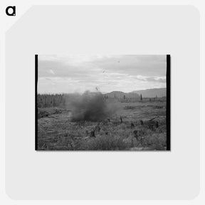 1-32_Dorothea-Lange_postcard