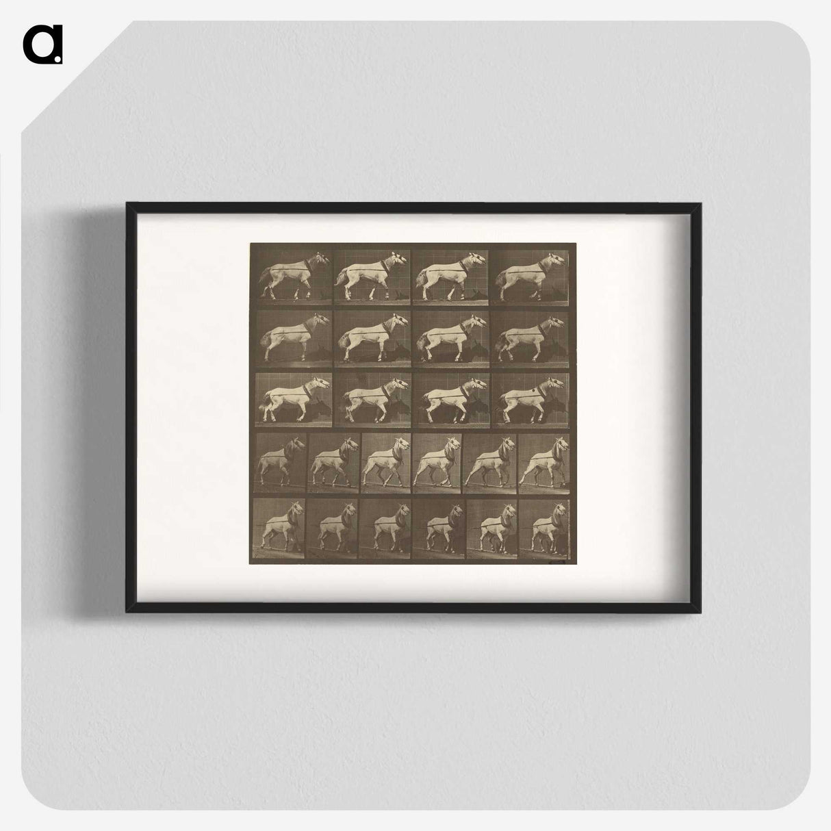 1-32_Eadweard-Muybridge_blk