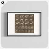 1-32_Eadweard-Muybridge_blk