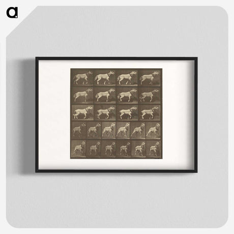 1-32_Eadweard-Muybridge_blk