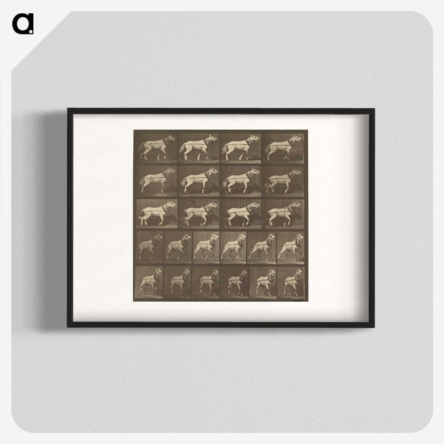 1-32_Eadweard-Muybridge_blk