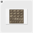 アートポストカード-Animal Locomotion
 - エドワード マイブリッジ Postcard.