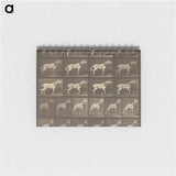アートメモ帳-Animal Locomotion
 - エドワード マイブリッジ Memo.