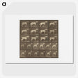 1-32_Eadweard-Muybridge_picture