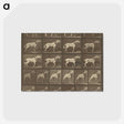 1-32_Eadweard-Muybridge_postcard
