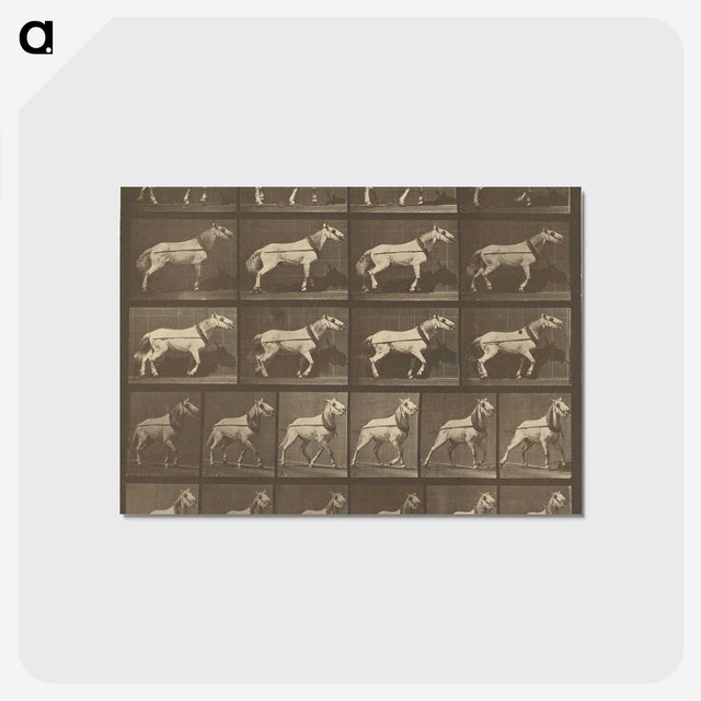 1-32_Eadweard-Muybridge_postcard
