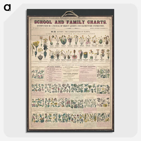1-32_Education-Charts_picture-crop