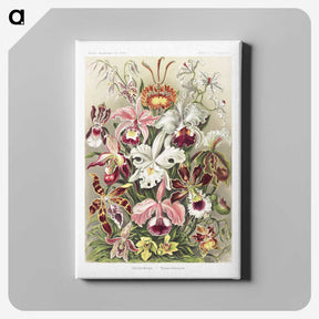 1-32_Ernst-Haeckel_canvas