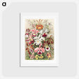 アートポストカード-Orchideae–Denusblumen - エルンスト ヘッケル Postcard.