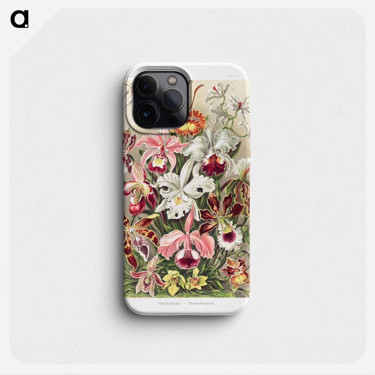 Orchideae–Denusblumen - エルンスト ヘッケル Phone Case.