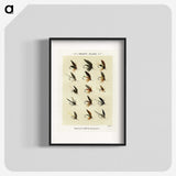 1-32_Favorite-Flies-and-Their-History_blk