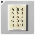 1-32_Favorite-Flies-and-Their-History_canvas