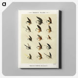 1-32_Favorite-Flies-and-Their-History_canvas