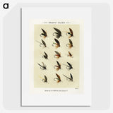 1-32_Favorite-Flies-and-Their-History_picture