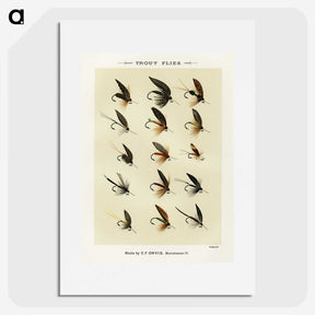 1-32_Favorite-Flies-and-Their-History_picture