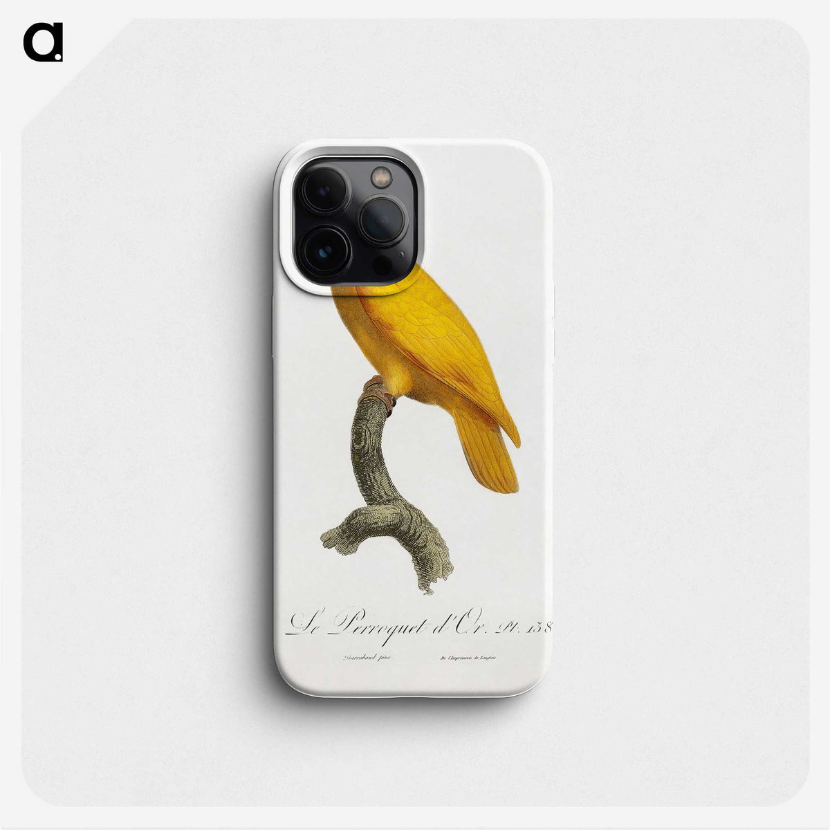 1-32_Francois-Levaillant_phone