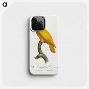 1-32_Francois-Levaillant_phone