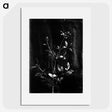 1-32_Frederick-Charles-Brockett_picture