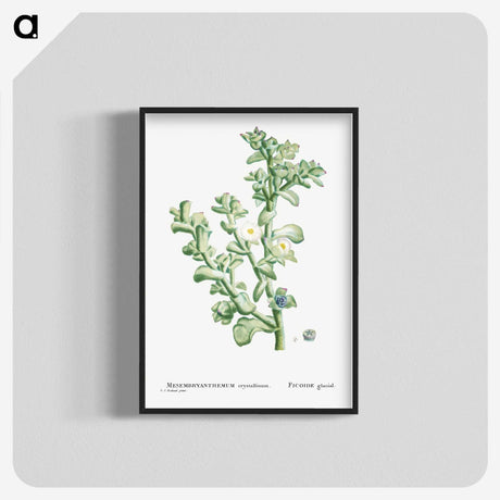 1-32_Histoire-des-Plantes-Grasses_blk-crop