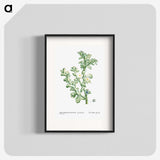 1-32_Histoire-des-Plantes-Grasses_blk