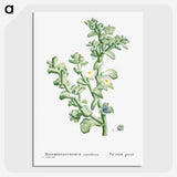 1-32_Histoire-des-Plantes-Grasses_picture-crop