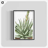 1-32_Hortus-Romanus-Botanical-Plates_blk-crop