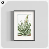 1-32_Hortus-Romanus-Botanical-Plates_blk