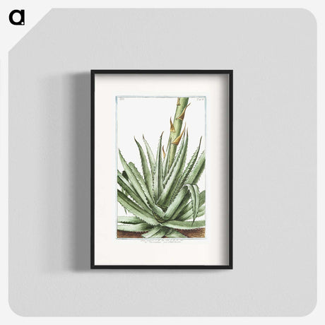 1-32_Hortus-Romanus-Botanical-Plates_blk