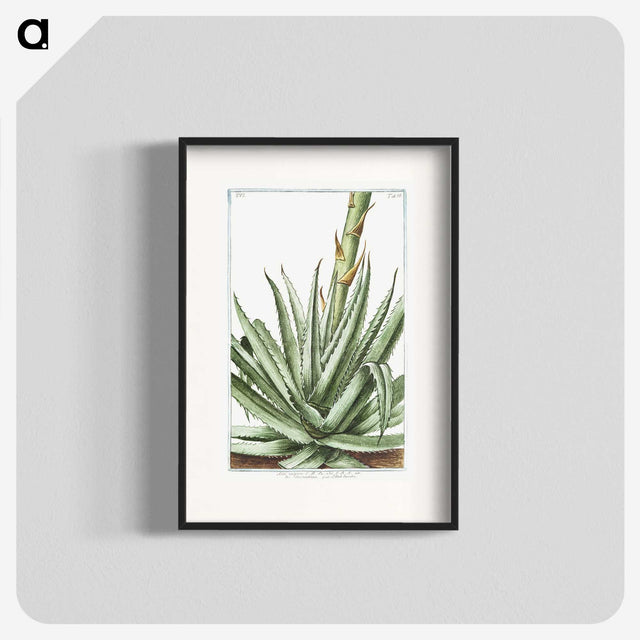1-32_Hortus-Romanus-Botanical-Plates_blk