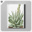 1-32_Hortus-Romanus-Botanical-Plates_canvas