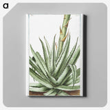 1-32_Hortus-Romanus-Botanical-Plates_canvas
