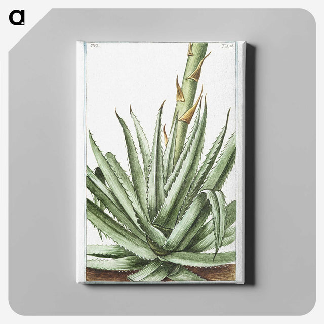 1-32_Hortus-Romanus-Botanical-Plates_canvas