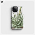 1-32_Hortus-Romanus-Botanical-Plates_phone