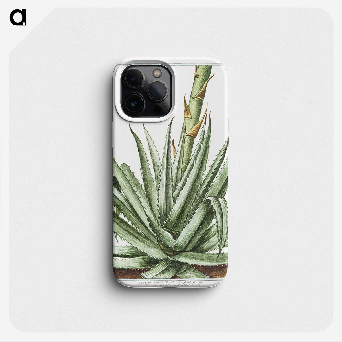 1-32_Hortus-Romanus-Botanical-Plates_phone