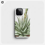 1-32_Hortus-Romanus-Botanical-Plates_phone