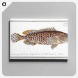 1-32_Ichtyologie-ou-Histoire-naturelle_canvas