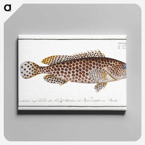 1-32_Ichtyologie-ou-Histoire-naturelle_canvas