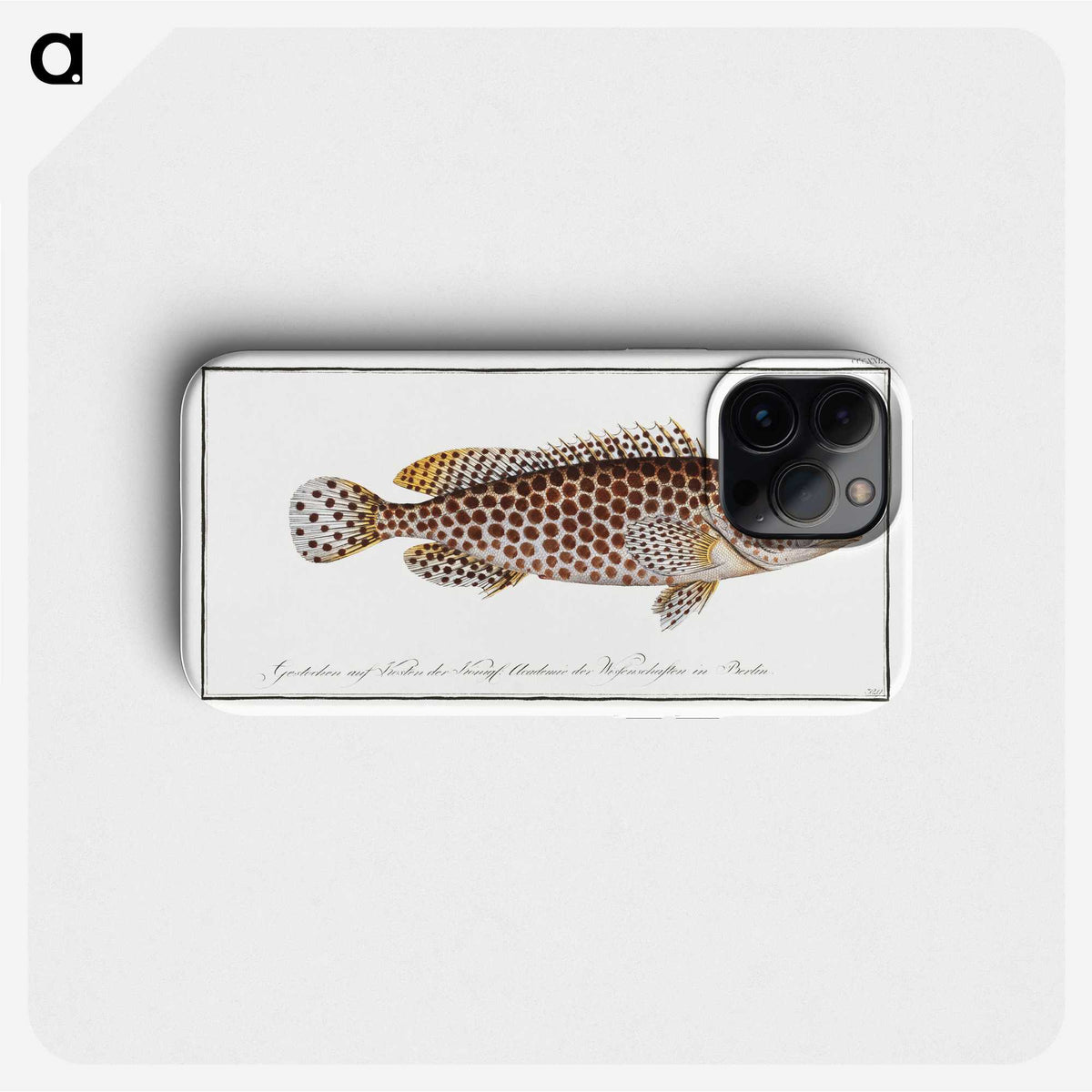 1-32_Ichtyologie-ou-Histoire-naturelle_phone